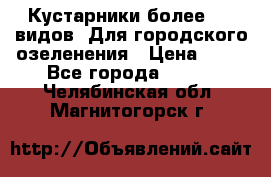 Кустарники более 100 видов. Для городского озеленения › Цена ­ 70 - Все города  »    . Челябинская обл.,Магнитогорск г.